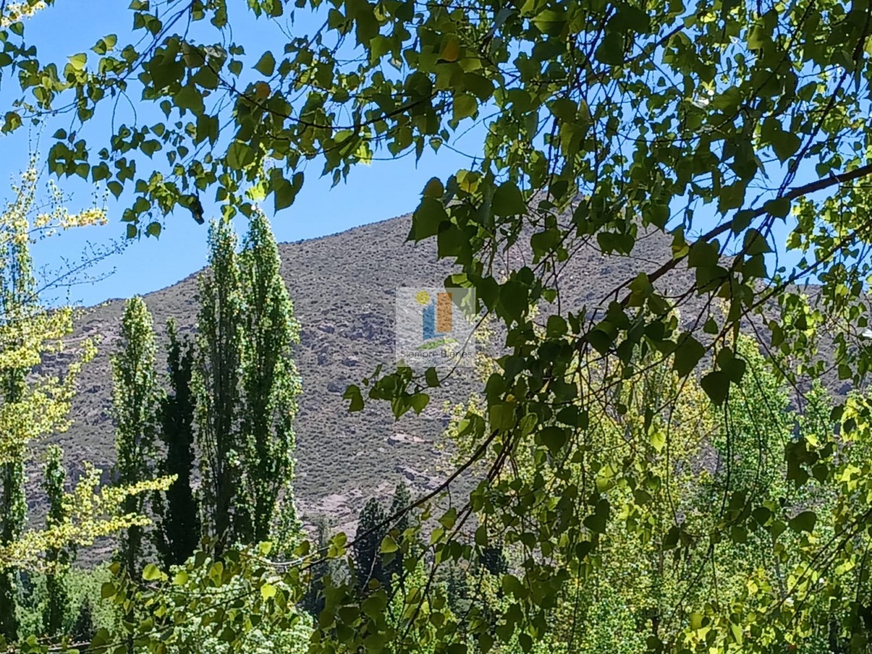 Venta Lote Las Carditas Potrerillos Mendoza