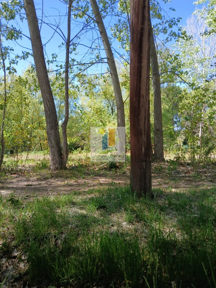 Venta ideal lote Villa Las Carditas Potrerillos Mendoza