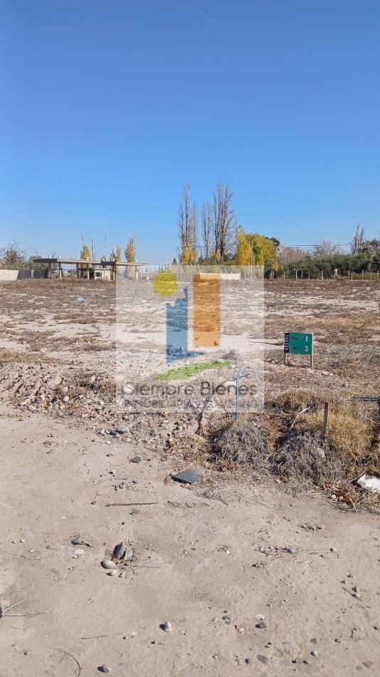 Venta lote Barrio Privado Abedul Carrodilla Lujan de Cuyo Mendoza