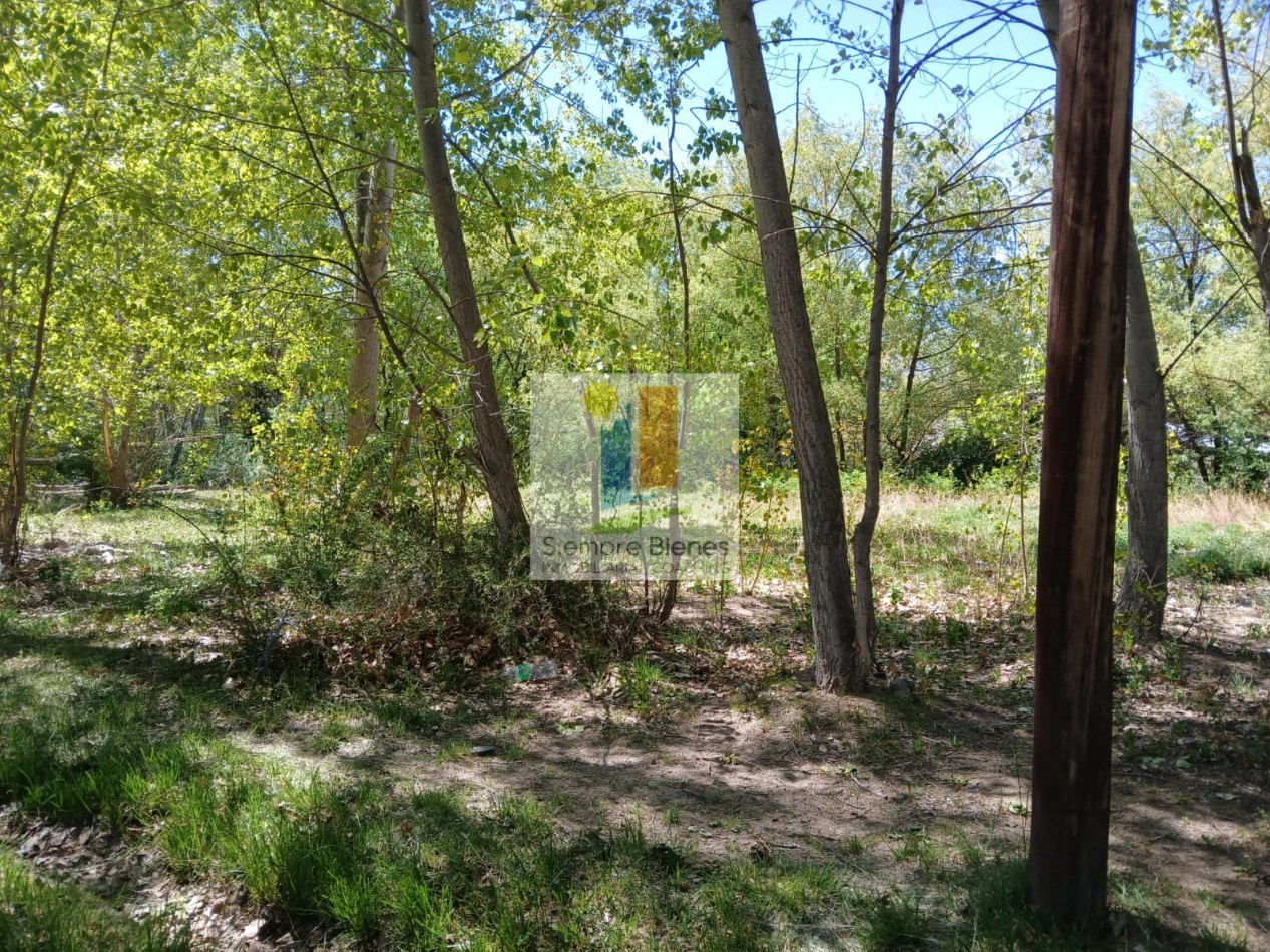 Venta hermoso lote Villa Las Carditas Potrerillos Mendoza
