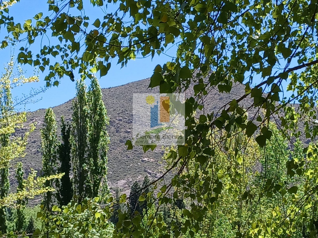 Venta hermoso lote Villa Las Carditas Potrerillos Mendoza