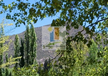 Venta Lote Las Carditas Potrerillos Mendoza